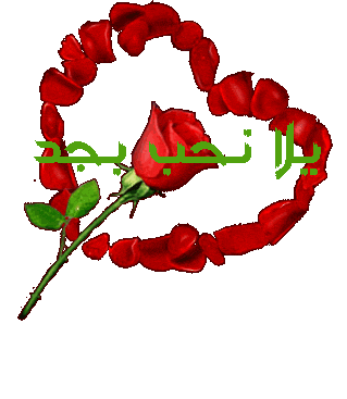 al7bo